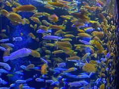 -成都浩海立方海洋公园