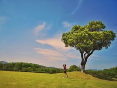 -大榭国际大酒店