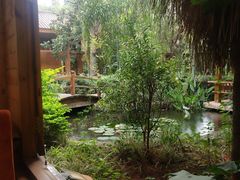 -山大王菌莊