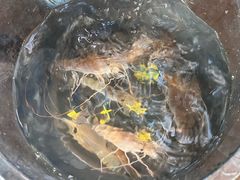 -粮心小农·大头虾亲子生态园(长发店)