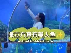 -顺德南宏海立方海洋公园