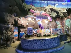 -烟台海昌鲸鲨海洋公园