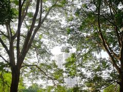 -九龙公园