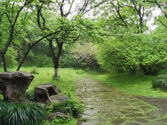 -杭州植物园