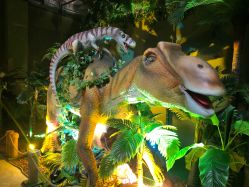 -恐龙探索乐园(磁器口店)