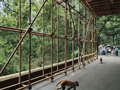 -黔灵山公园