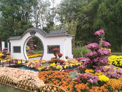 -上海共青森林公园