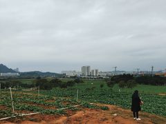 -光明小镇欢乐田园