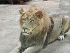 -鄂尔多斯野生动物园