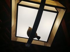 -裕和堂中医推拿艾灸(太古汇臻品店)