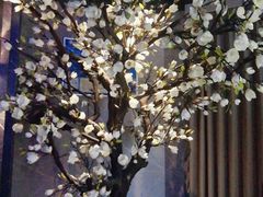 -仟汇足道·SPA(秀洲总店)