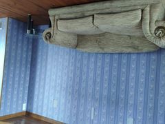 -金山农民画村-枫泾波兰倒置屋
