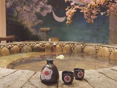 -北京美神宫艺术主题温泉酒店