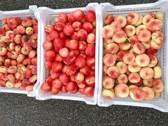 -三旗百汇商品城