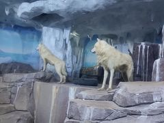 -多彩贵州城极地海洋世界