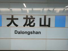 -大龙山(地铁站)