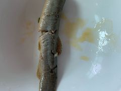 -盘龙黄鳝(盘龙居店)