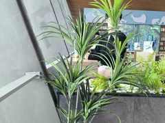 -抱抱地球咖啡馆(国家海洋博物馆店)