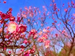-大宁灵石公园西门票处