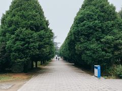 -秦始皇帝陵博物院-丽山园
