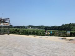 -北京张裕爱斐堡酒庄