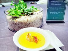 -北京泰富酒店-柏景轩中餐厅