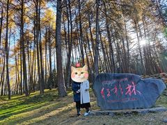 -硗碛藏寨·神木垒景区