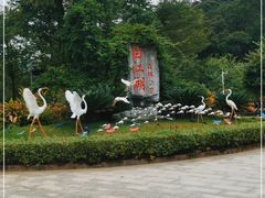 -广州白江湖森林公园