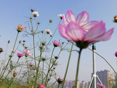 -西安汉城湖景区