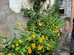 -创艺无限·赵春香微妙艺术馆