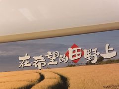 -杨厨的田园饭店(长城路店)