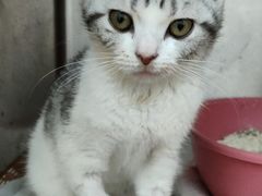 -瑞鹏宠物医院·骨科·猫科·内科(第一中心)