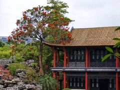 -顺峰山公园