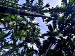 -七仙岭温泉国家森林公园