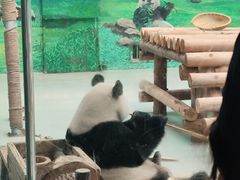 -柳州市动物园