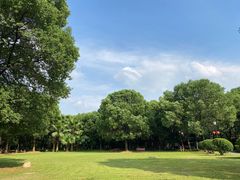-燕鸣岛