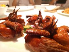 乳鸽-悦景酒家(罗湖店)