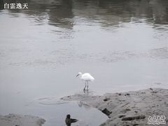 -淡水老街