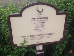 -紫颐香薰山谷景区