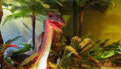 -恐龙探索乐园(磁器口店)