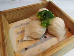 笋尖鲜虾饺-红顶食府(滨湖九号店)