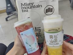 -雾与山茶(大禹城店)