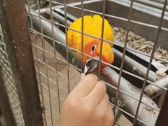 -南宫五洲植物乐园