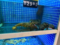 -金龙·打边炉(南京西路店)