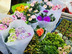 -循礼门鲜花花市(武汉循礼门店)