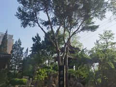 -碑林公园