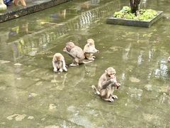 -千岛湖东南湖区