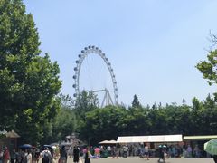 -日照海滨国家森林公园