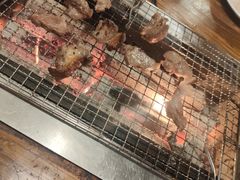 -柿子树炭烤羊腿(金台路店)
