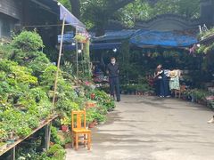 -青石桥花鸟鱼虫市场(叠翠城店)